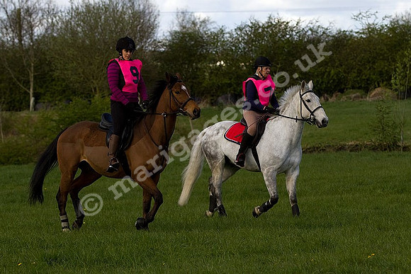 West Hedley 260415_0003