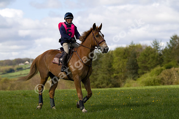 West Hedley 260415_0010