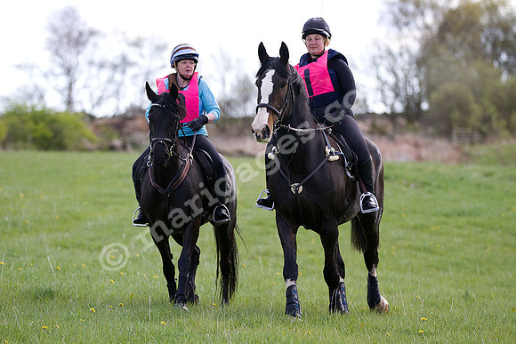 West Hedley 260415_0015