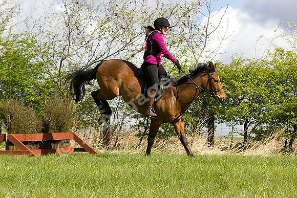West Hedley 260415_0061