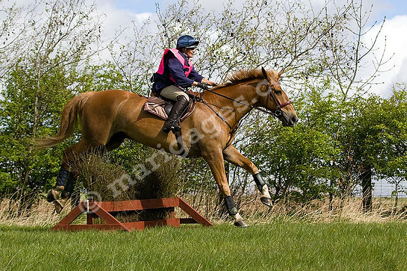 West Hedley 260415_0063