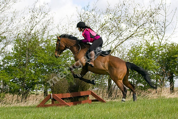 West Hedley 260415_0066