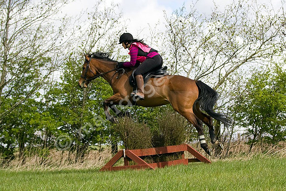 West Hedley 260415_0067