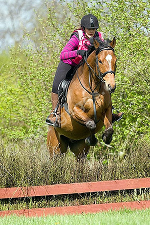 West Hedley 260415_0073