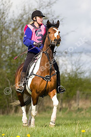 West Hedley 260415_0075
