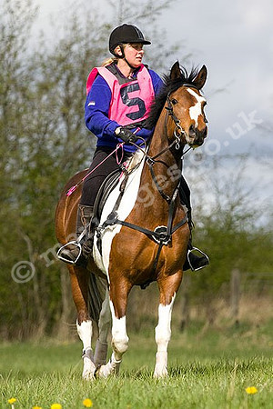 West Hedley 260415_0076