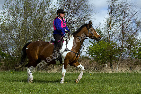 West Hedley 260415_0077