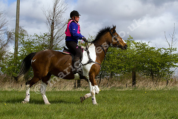 West Hedley 260415_0078