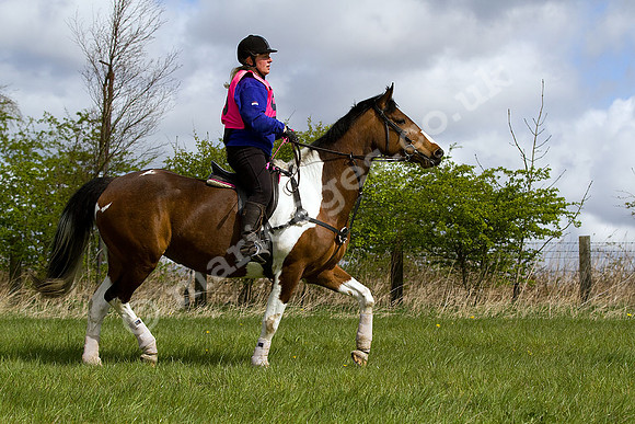 West Hedley 260415_0079