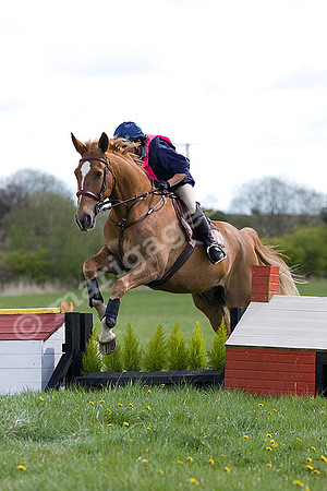 West Hedley 260415_0089