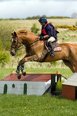 West Hedley 260415_0097