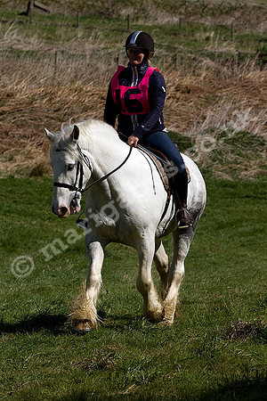 West Hedley 260415_0190