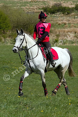 West Hedley 260415_0234