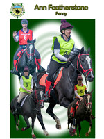 Endurance Portfolio