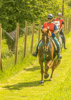 Dialstone Sunday 31st May