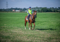 White Horse Saturday 11th July