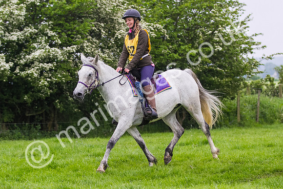 Ann Goodall
