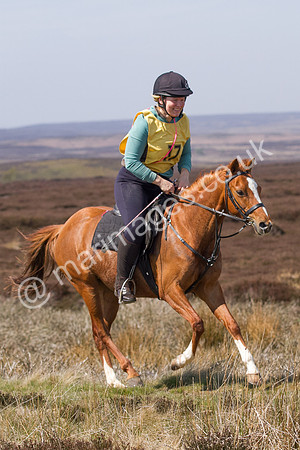 Joanne Grunwell Runagall