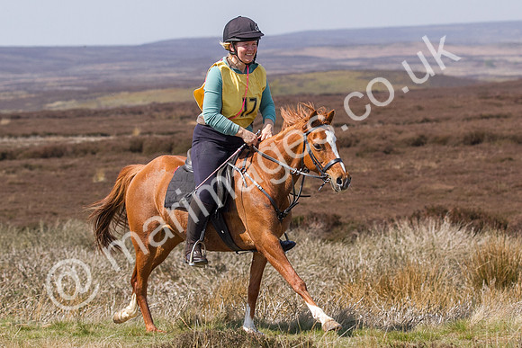 Joanne Grunwell Runagall