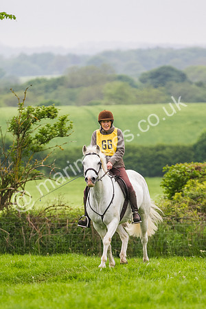 Ann Goodall
