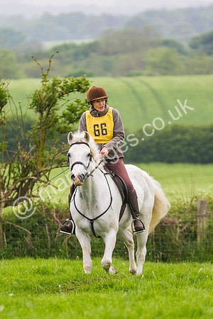 Ann Goodall