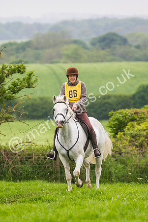 Ann Goodall